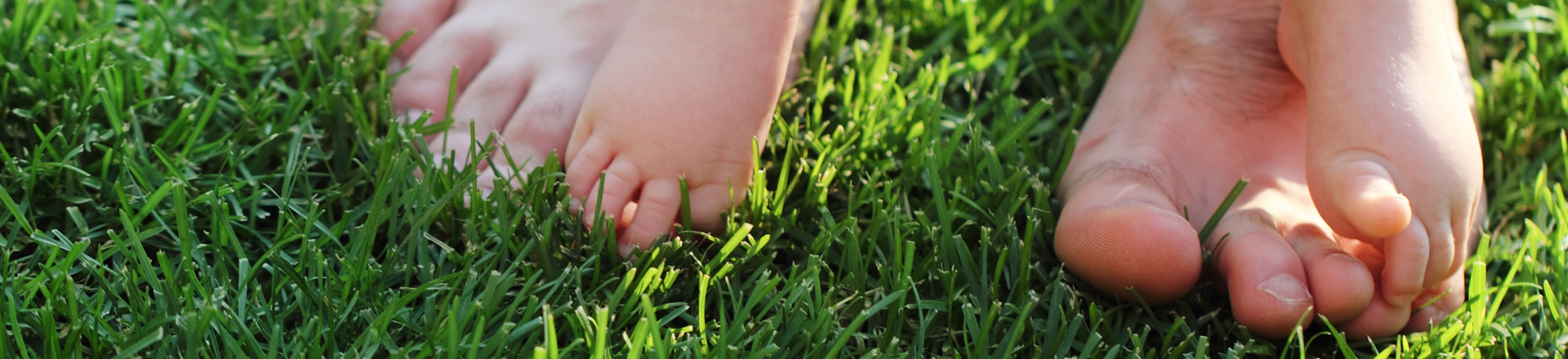 What is Earthing? Touching your bare feet to the Earth's surface... grass, sand, etc.