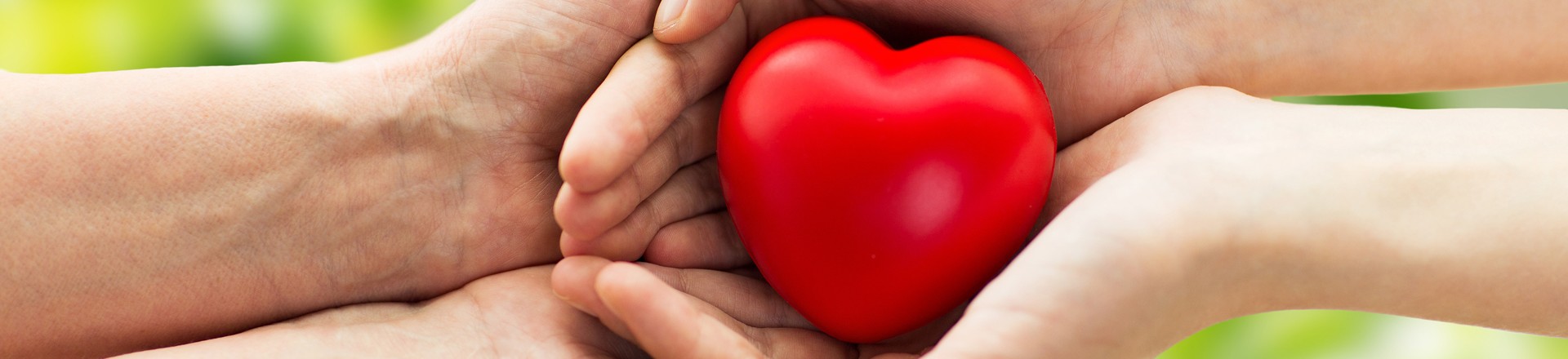 two hands hold a heart: heart health and heart conditions conditions