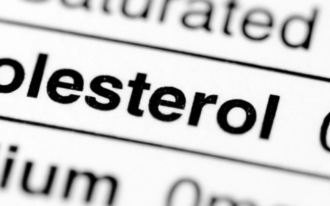 cholesterol facts
