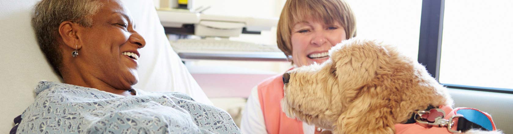 service therapy dogs that help manage pain visits woman in hospital