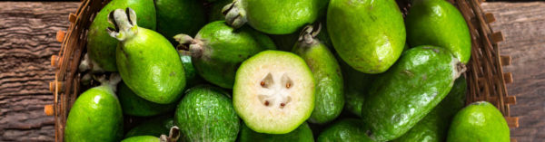 bright green feijoa fruit are superfoods with many health benefits