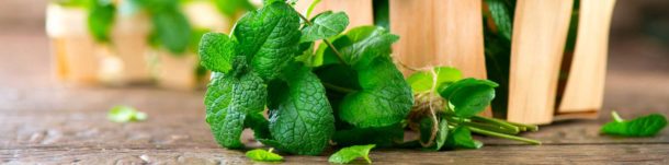 peppermint leaves are a bad breath natural remedy