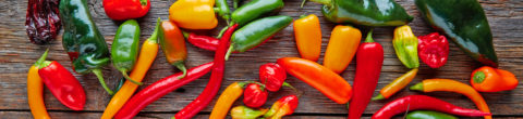 array of colorful spice hot peppers loaded with health benefits