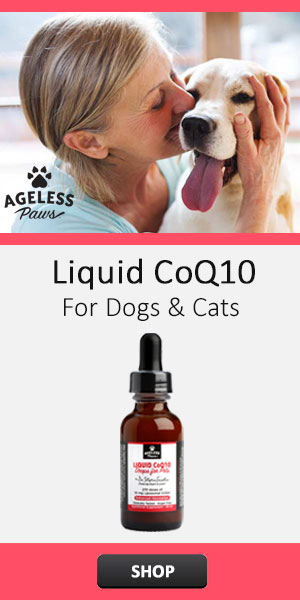 Dr. Sinatra's liquid CoQ10 for pets