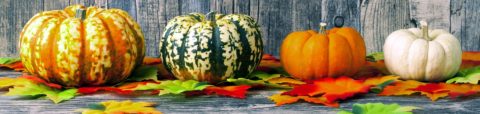 pumpkin recipes - soups and sides