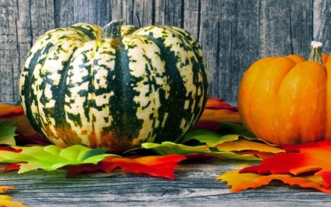 pumpkin recipes - soups and sides