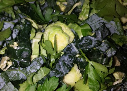 kale, parsley and shaved brussels sprouts salad
