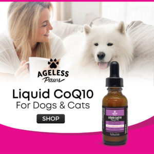 Ageless Paws Liquid CoQ10 for dogs and cats - liposomal Coenzynme Q10 drops for pets - shop