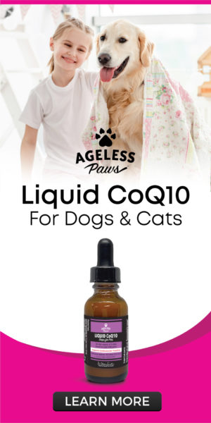Ageless Paws Liquid CoQ10 for dogs and cats - liposomal Coenzynme Q10 drops for pets - learn more