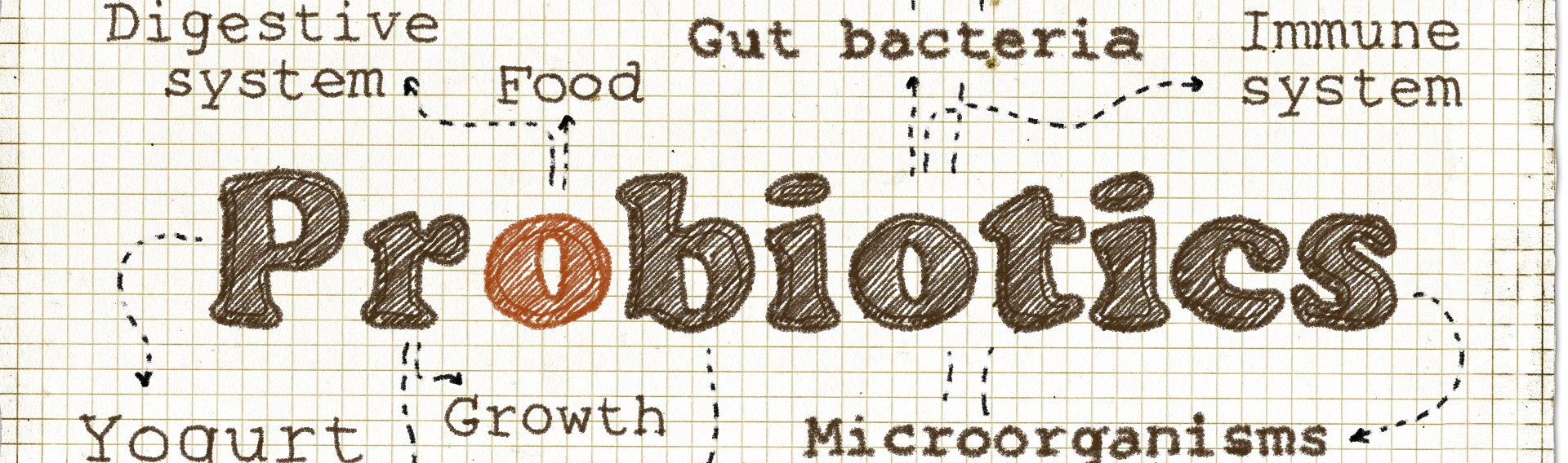 Dog Probiotics for microbiome health