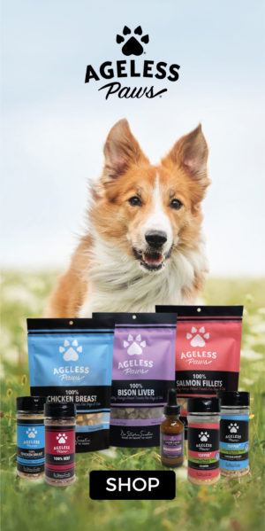 dog running in field toward Ageless paws single ingredient freeze dried healthy treats, meal toppers and supplements for dogs and cats