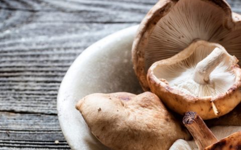 shitake mushrooms as medicinal mushrooms with health benefits