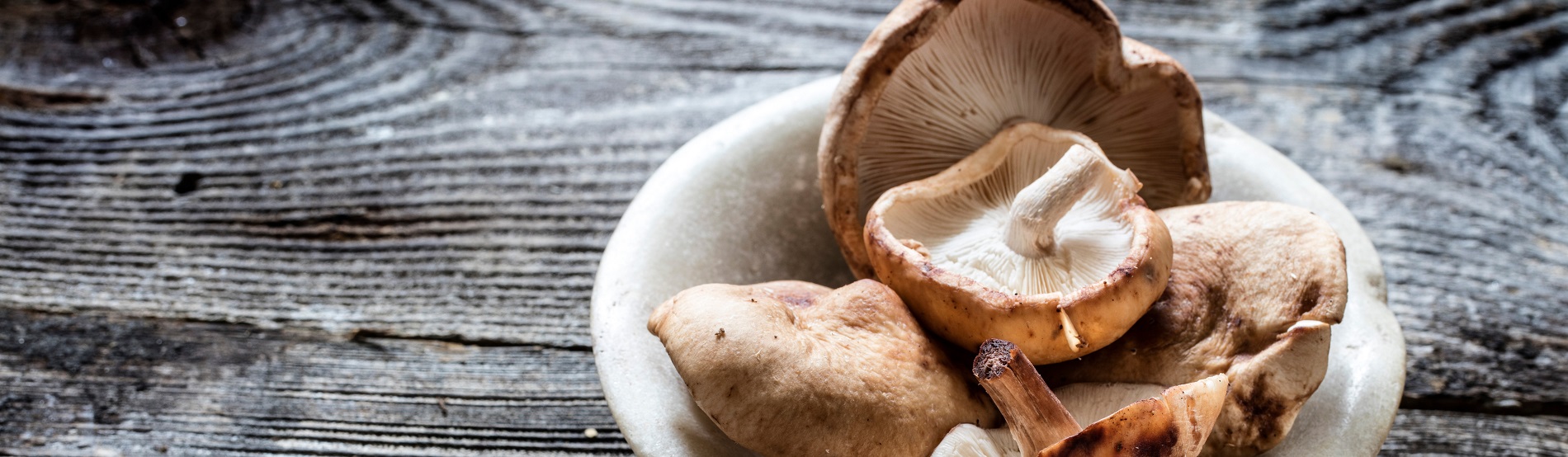 shitake mushrooms as medicinal mushrooms with health benefits