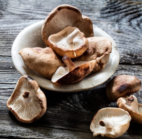 shitake mushrooms bring health benefits to the table